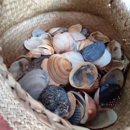 Lägenhet Santos Santa Luzia (Tavira)